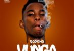 Rapcha - Vunga MP3 DOWNLOAD