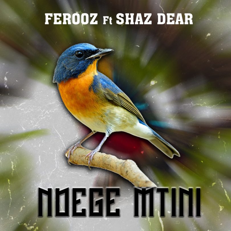 AUDIO Ferooz Ft Shaz Dear - Ndege Mtini MP3 DOWNLOAD