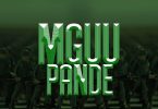 AUDIO Ferooz - Mguu Pande MP3 DOWNLOAD