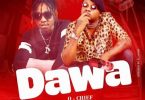 Q Chief Ft Country Boy - Dawa MP3 DOWNLOAD