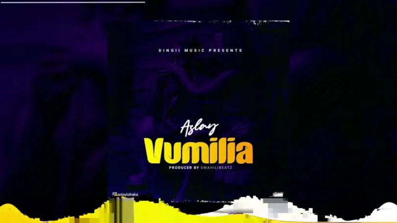 Aslay – Vumilia MP3 DOWNLOAD