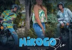 Jay Melody Ft Dogo Janja - Mikogo Sio MP3 DOWNLOAD