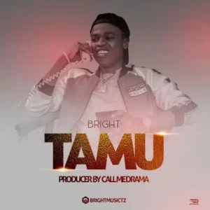 Bright – Tamu MP3 DOWNLOAD