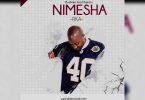 AUDIO Bushoke - Nimeshafika MP3 DOWNLOAD