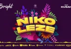 Bright Ft Kusah – Nikoleze MP3 DOWNLOAD