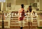 LYRICS VIDEO: Nandy Ft Harmonize - Usemi sina