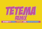 AUDIO Rayvanny Ft Diamond Platnumz & Pitbull & Mohombi X Jeon – Tetema Remix MP3 DOWNLOAD