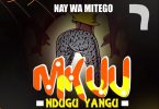 AUDIO Nay Wa Mitego – Mkuu Ndugu Yangu MP3 DOWNLOAD