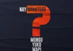 AUDIO Nay Wa Mitego Ft Shamy – Mungu Yuko Wapi MP3 DOWNLOAD