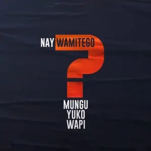 AUDIO Nay Wa Mitego Ft Shamy – Mungu Yuko Wapi MP3 DOWNLOAD