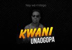 AUDIO Nay Wa Mitego – Kwani Unaogopa MP3 DOWNLOAD