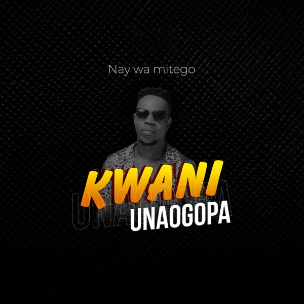 AUDIO Nay Wa Mitego – Kwani Unaogopa MP3 DOWNLOAD