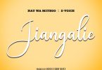 AUDIO Nay Wa Mitego Ft D Voice – Jiangalie MP3 DOWNLOAD