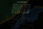 AUDIO Nay Wa Mitego – Haki MP3 DOWNLOAD