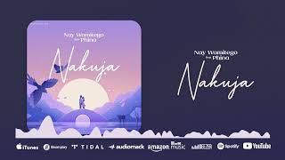 AUDIO Nay Wa Mitego Ft Phina – Nakuja MP3 DOWNLOAD