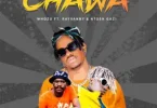 AUDIO Rayvanny Ft Whozu & Ntosh Gazi – Chawa MP3 DOWNLOAD