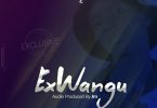 AUDIO D Voice – Ex Wangu MP3 DOWNLOAD