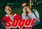 AUDIO Jay Melody Ft Marioo – Sugar Remix MP3 DOWNLOAD