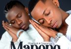 AUDIO Mavokali Ft Rayvanny – Mapopo MP3 DOWNLOAD