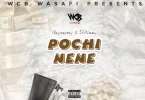 AUDIO Rayvanny Ft S2kizzy – Pochi Nene MP3 DOWNLOAD