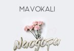 AUDIO Mavokali – Naogopa MP3 DOWNLOAD