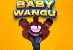 AUDIO Meja Kunta Ft Mzee Wa Bwax – Baby Wangu MP3 DOWNLOAD