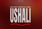 AUDIO Meja Kunta Ft Kidochu Mc & Elisha – Ushali MP3 DOWNLOAD