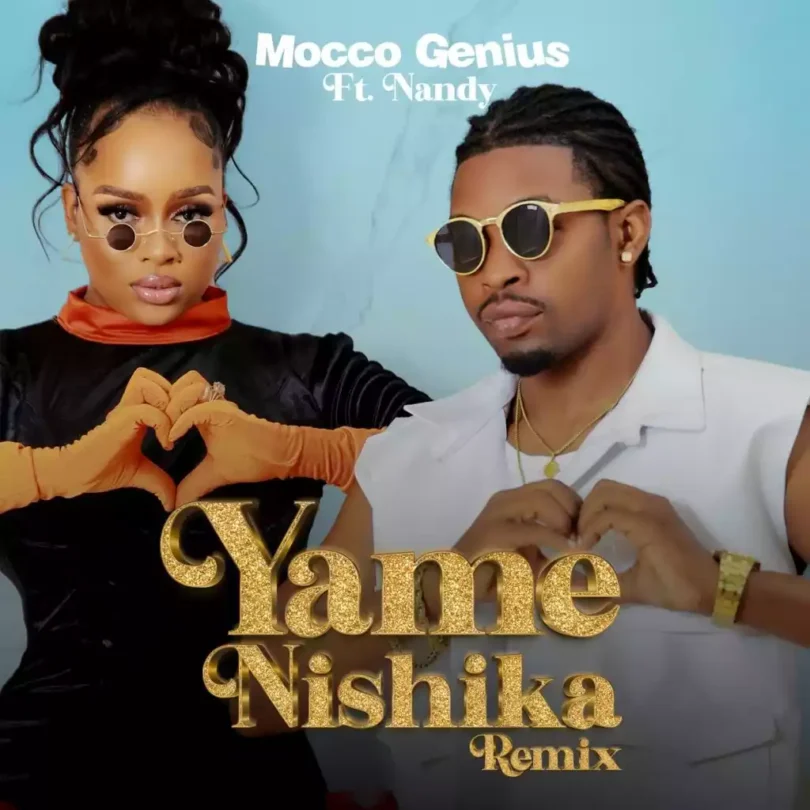 AUDIO Nandy Ft Mocco Genius - Yamenishika Remix MP3 DOWNLOAD