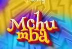 AUDIO Nandy – Mchumba MP3 DOWNLOAD