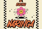 AUDIO Zuchu – Naringa MP3 DOWNLOAD