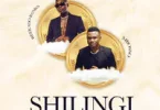 AUDIO Mbosso Ft Reekado Banks - Shilingi MP3 DOWNLOAD