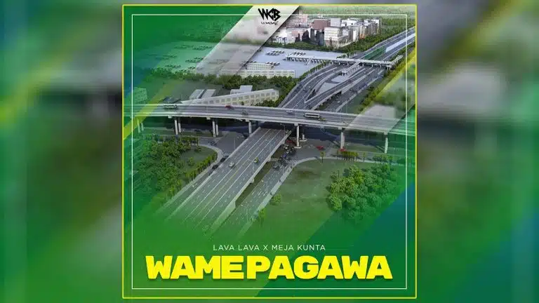 AUDIO Lava Lava Ft Meja Kunta - Wamepagawa MP3 DOWNLOAD